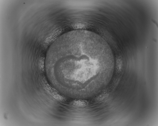 X0000103960545200810311616