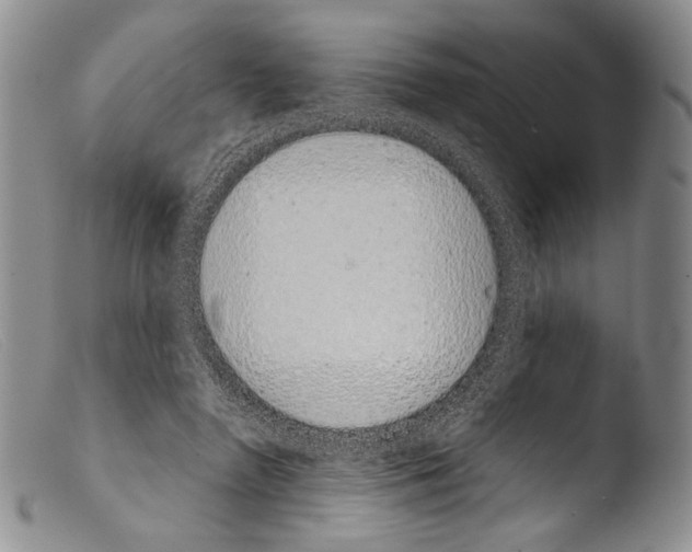 X0000103960546200810311616