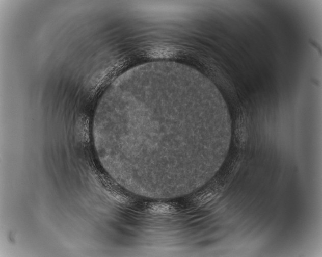 X0000103960547200810311616