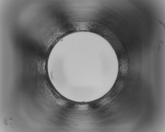 X0000103960548200810311616