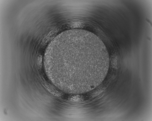 X0000103960550200810311616