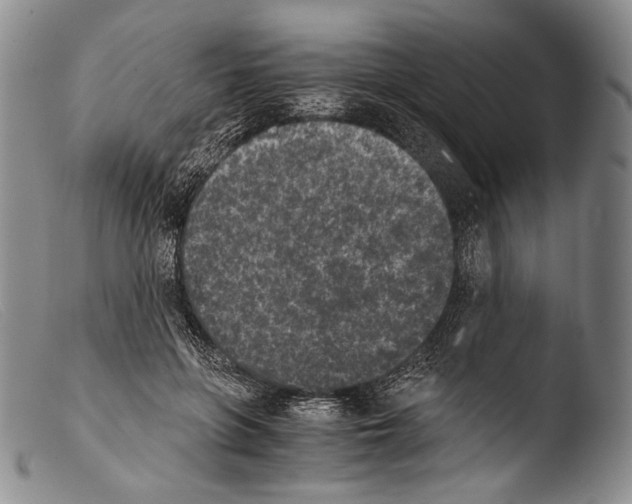 X0000103960551200810311616