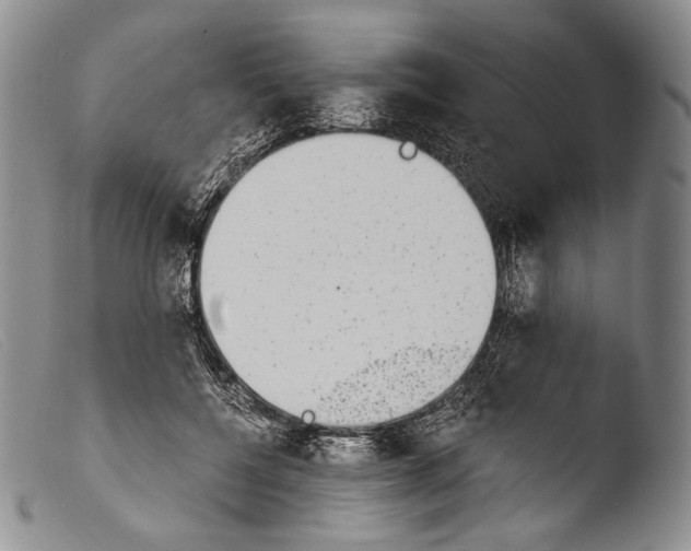 X0000103960552200810311616