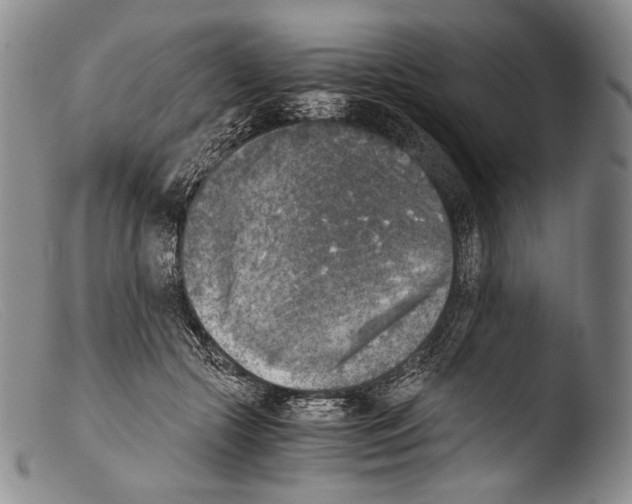 X0000103960553200810311616