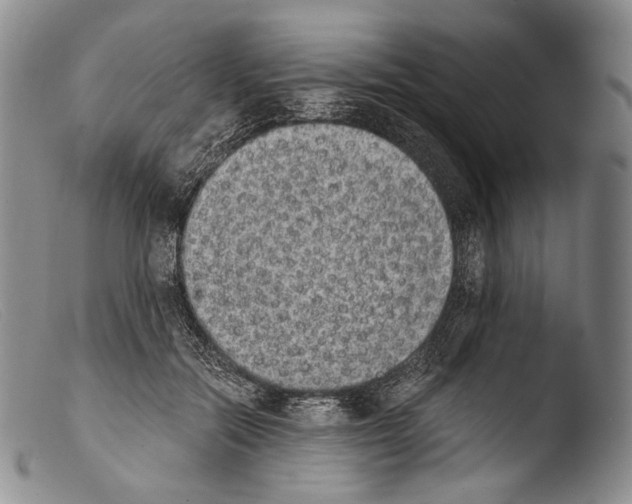 X0000103960554200810311616