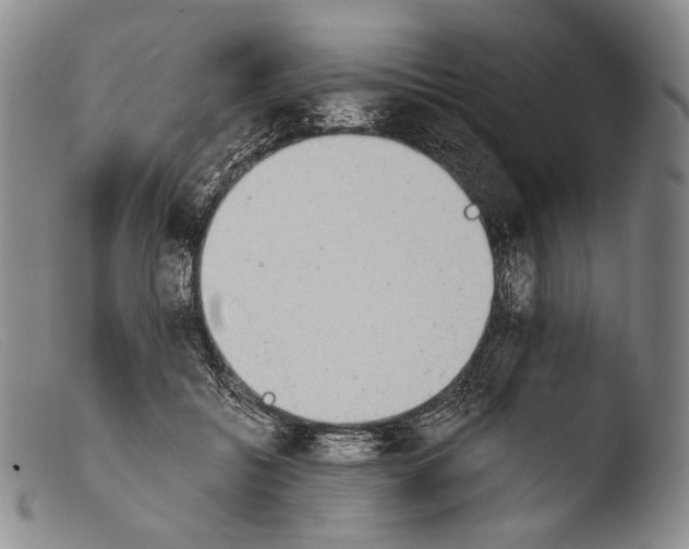 X0000103960556200810311616