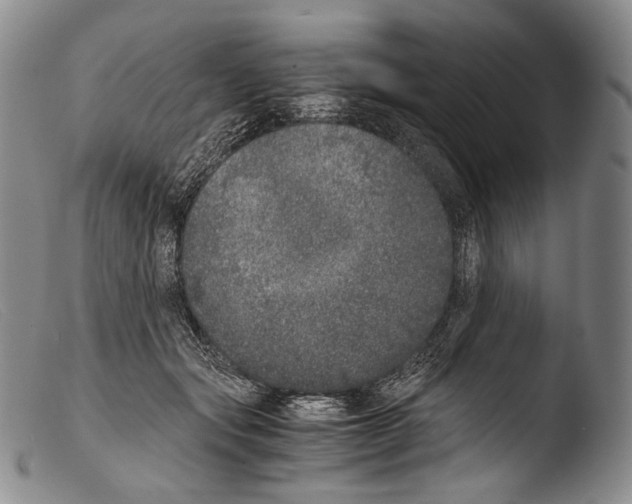 X0000103960557200810311617