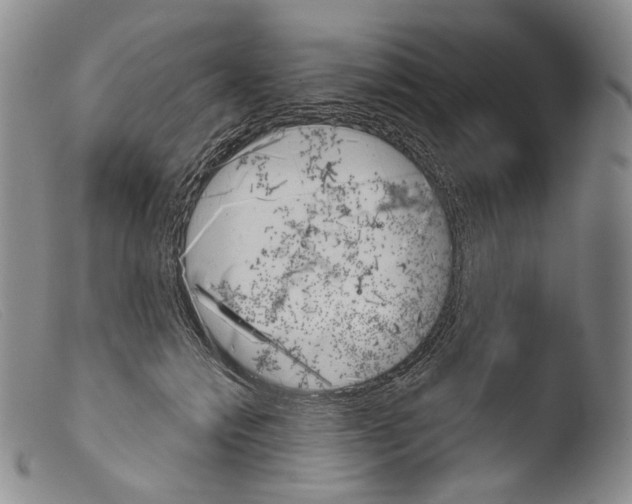 X0000103960558200810311617
