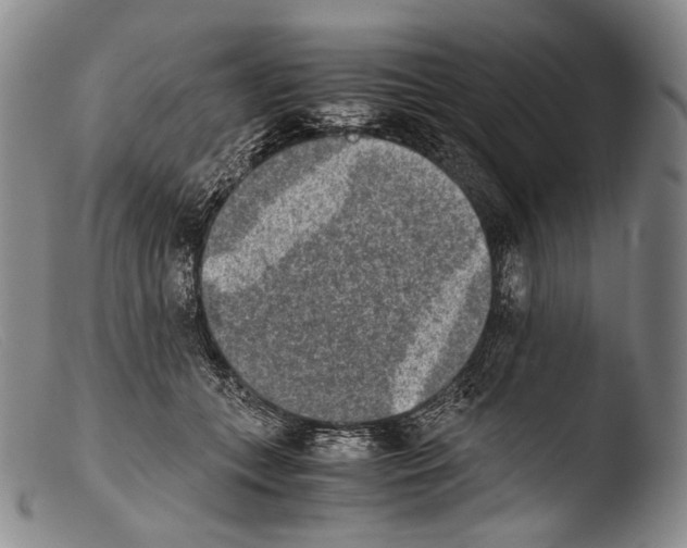 X0000103960559200810311617