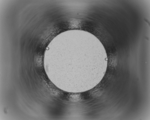 X0000103960560200810311617