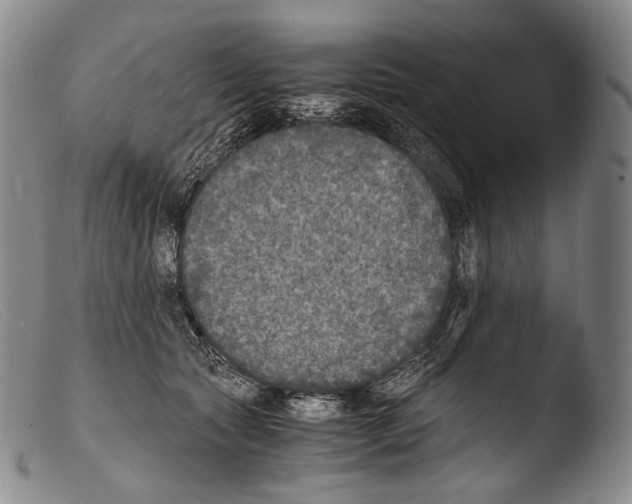 X0000103960561200810311617