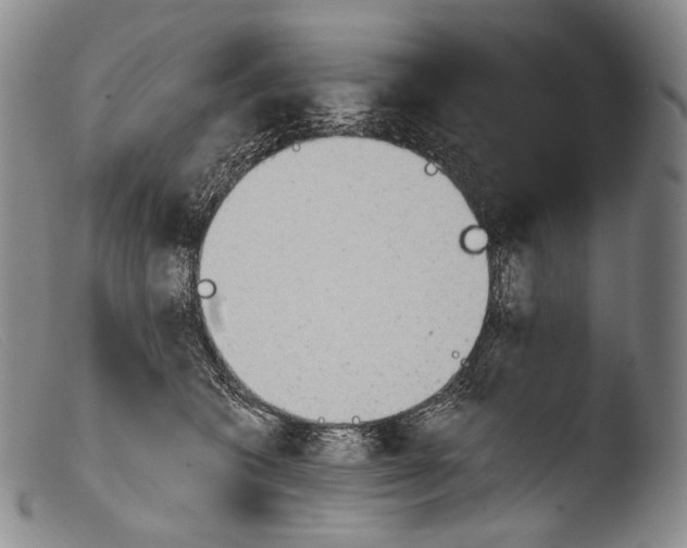 X0000103960562200810311617