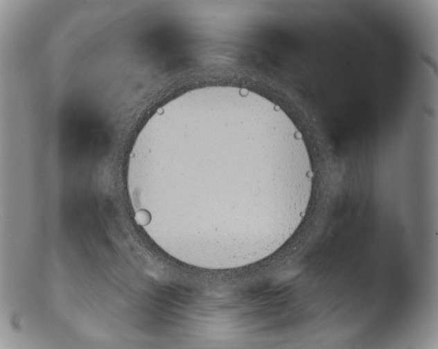 X0000103960564200810311617