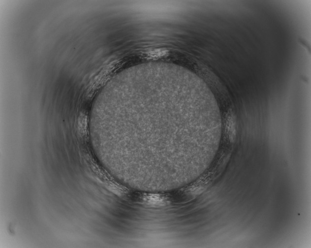X0000103960565200810311617