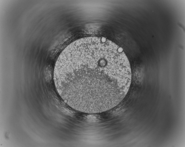 X0000103960566200810311617