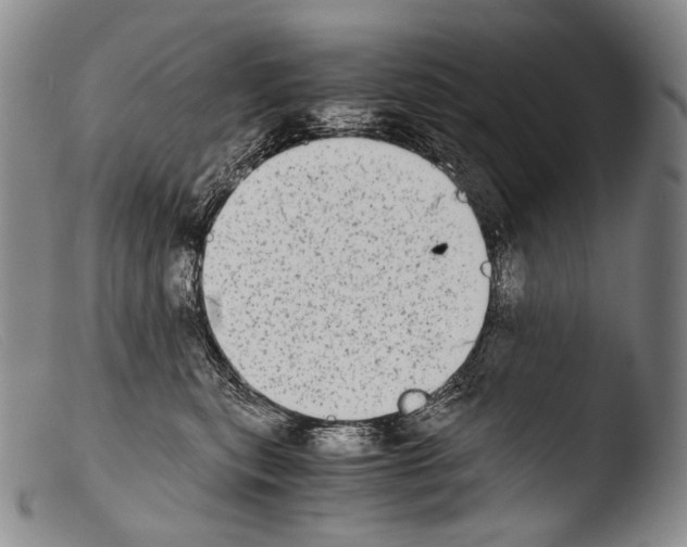 X0000103960567200810311617