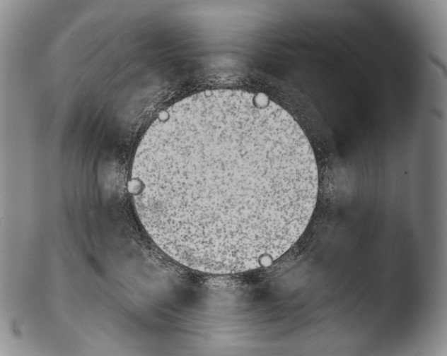 X0000103960568200810311617