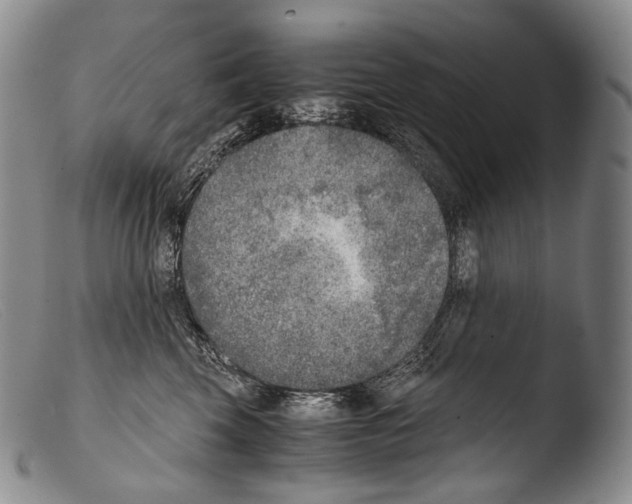 X0000103960569200810311617