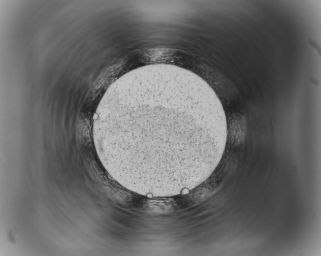 X0000103960571200810311617