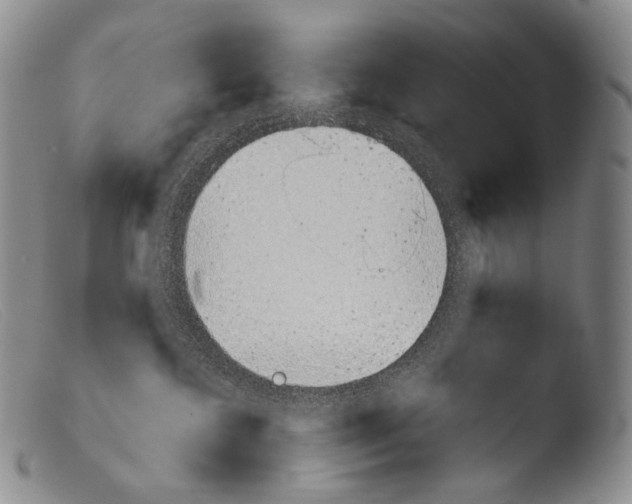 X0000103960572200810311617
