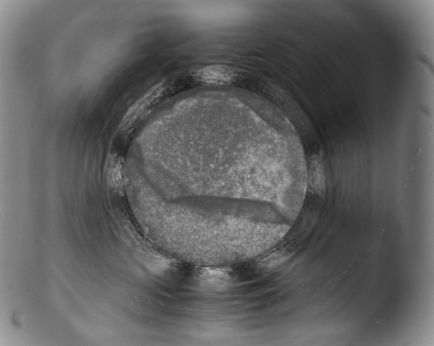 X0000103960573200810311617