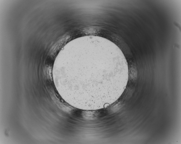 X0000103960575200810311617