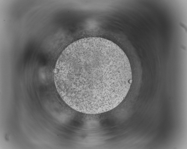 X0000103960576200810311617