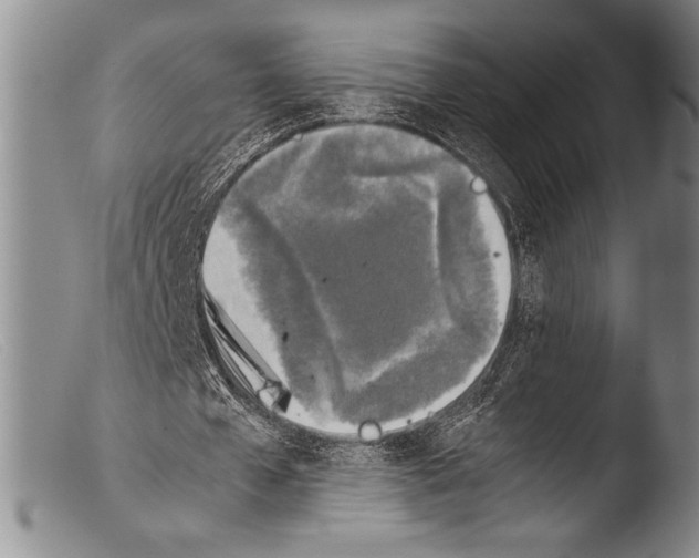 X0000103960577200810311616