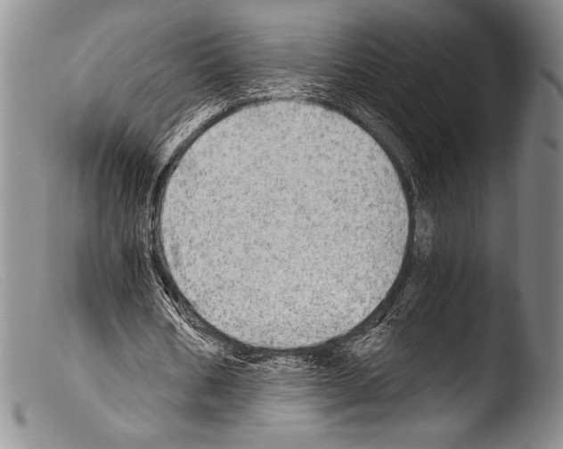 X0000103960578200810311616
