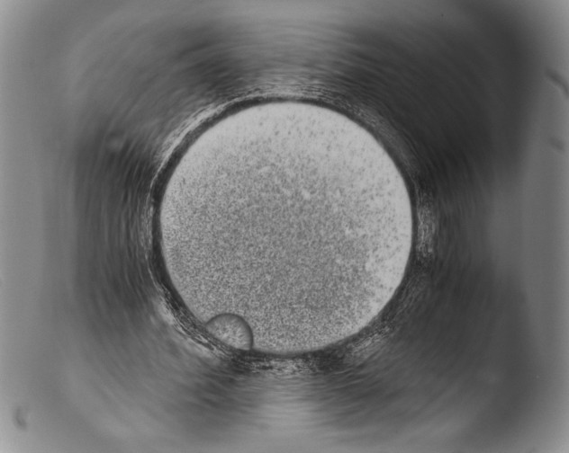 X0000103960580200810311616