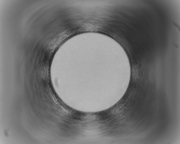 X0000103960581200810311616