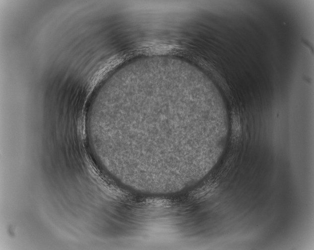 X0000103960582200810311616