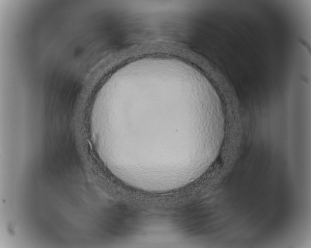 X0000103960583200810311616