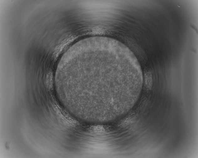 X0000103960588200810311616