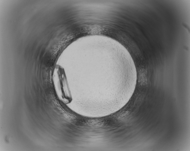 X0000103960589200810311616
