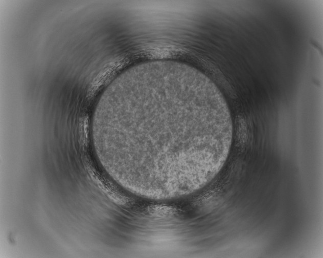 X0000103960590200810311616