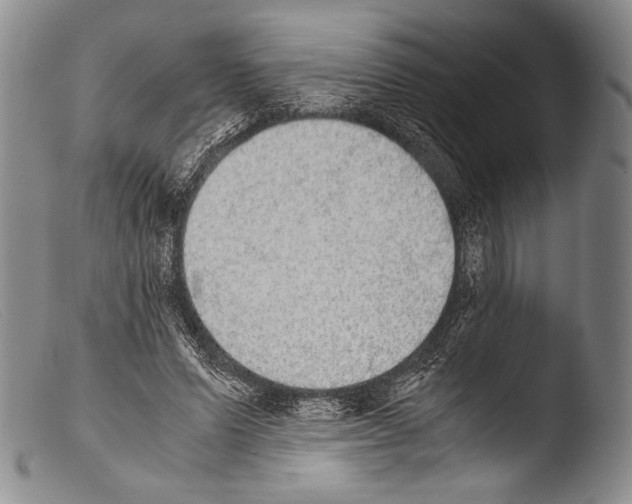 X0000103960591200810311616