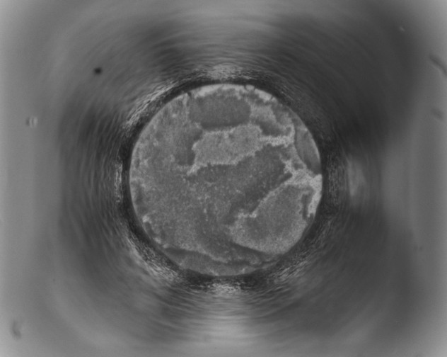 X0000103960592200810311616