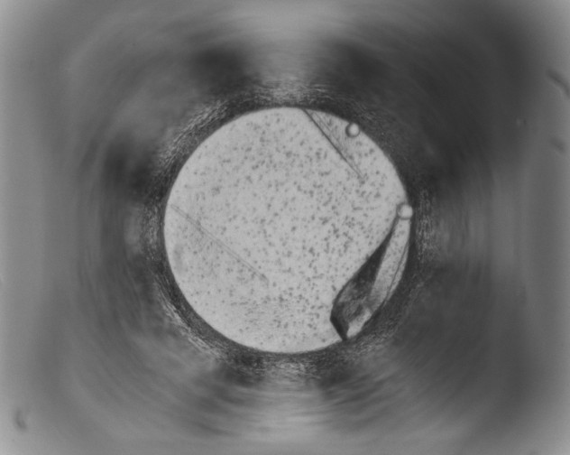 X0000103960593200810311616