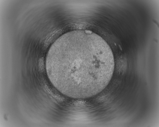 X0000103960594200810311616