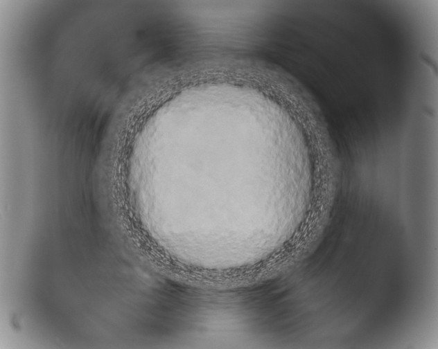 X0000103960595200810311616
