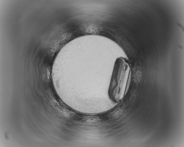 X0000103960597200810311616