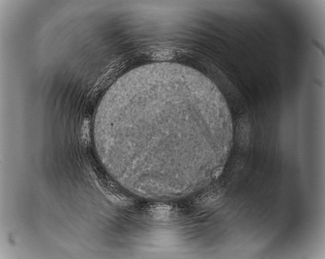 X0000103960598200810311616