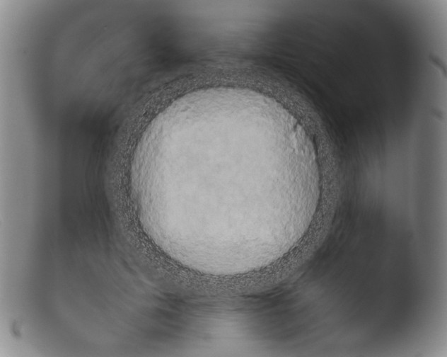 X0000103960599200810311616