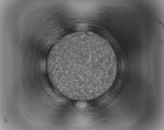 X0000103960602200810311616
