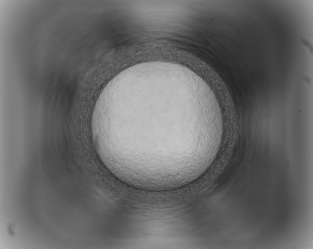 X0000103960603200810311616