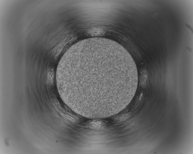 X0000103960604200810311616
