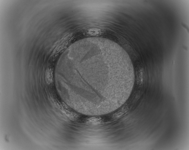 X0000103960606200810311616