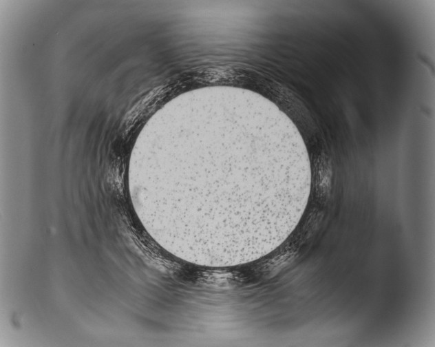 X0000103960607200810311616