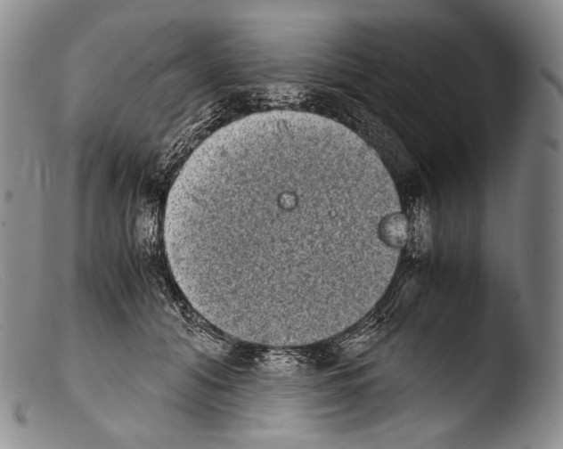 X0000103960608200810311616